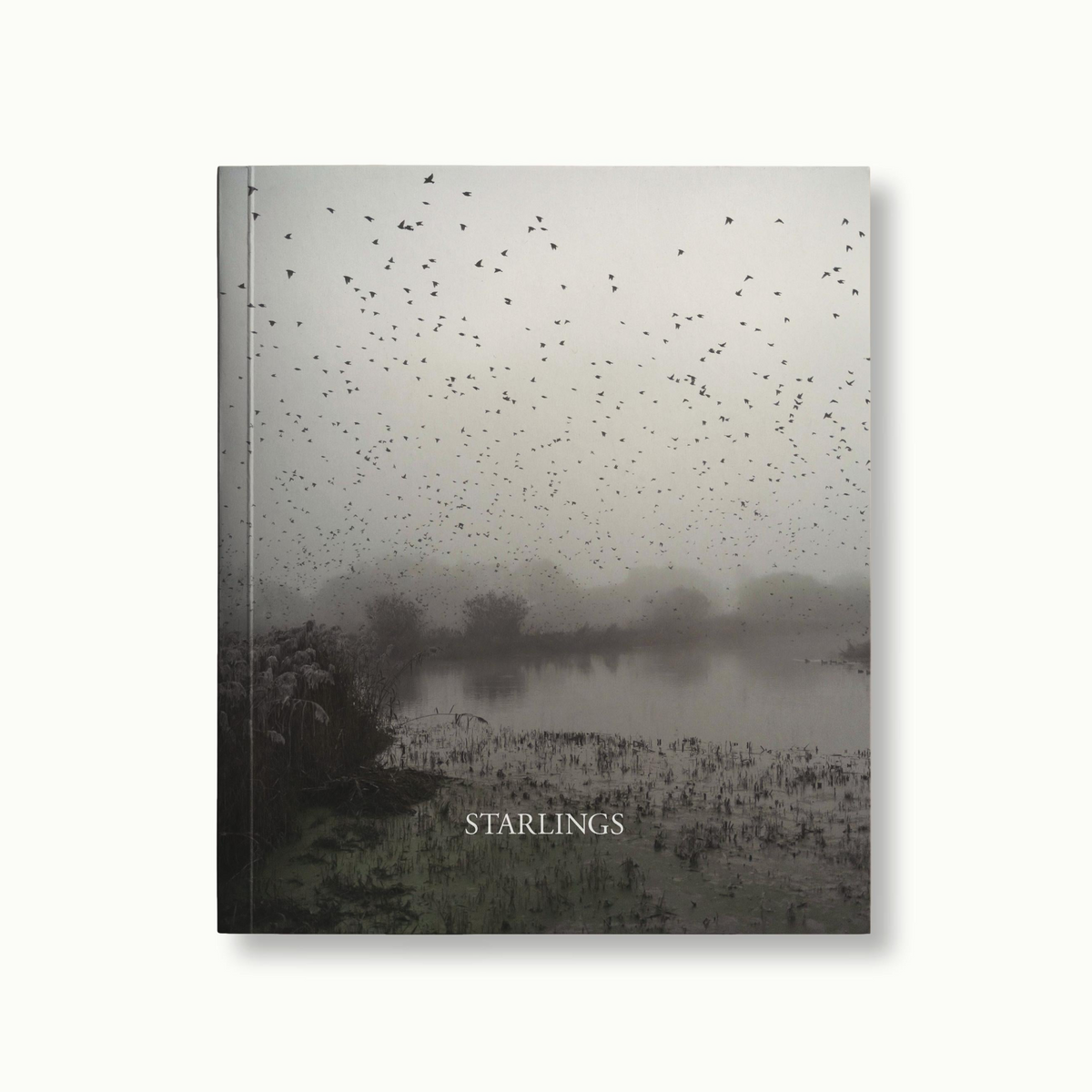 On Starlings