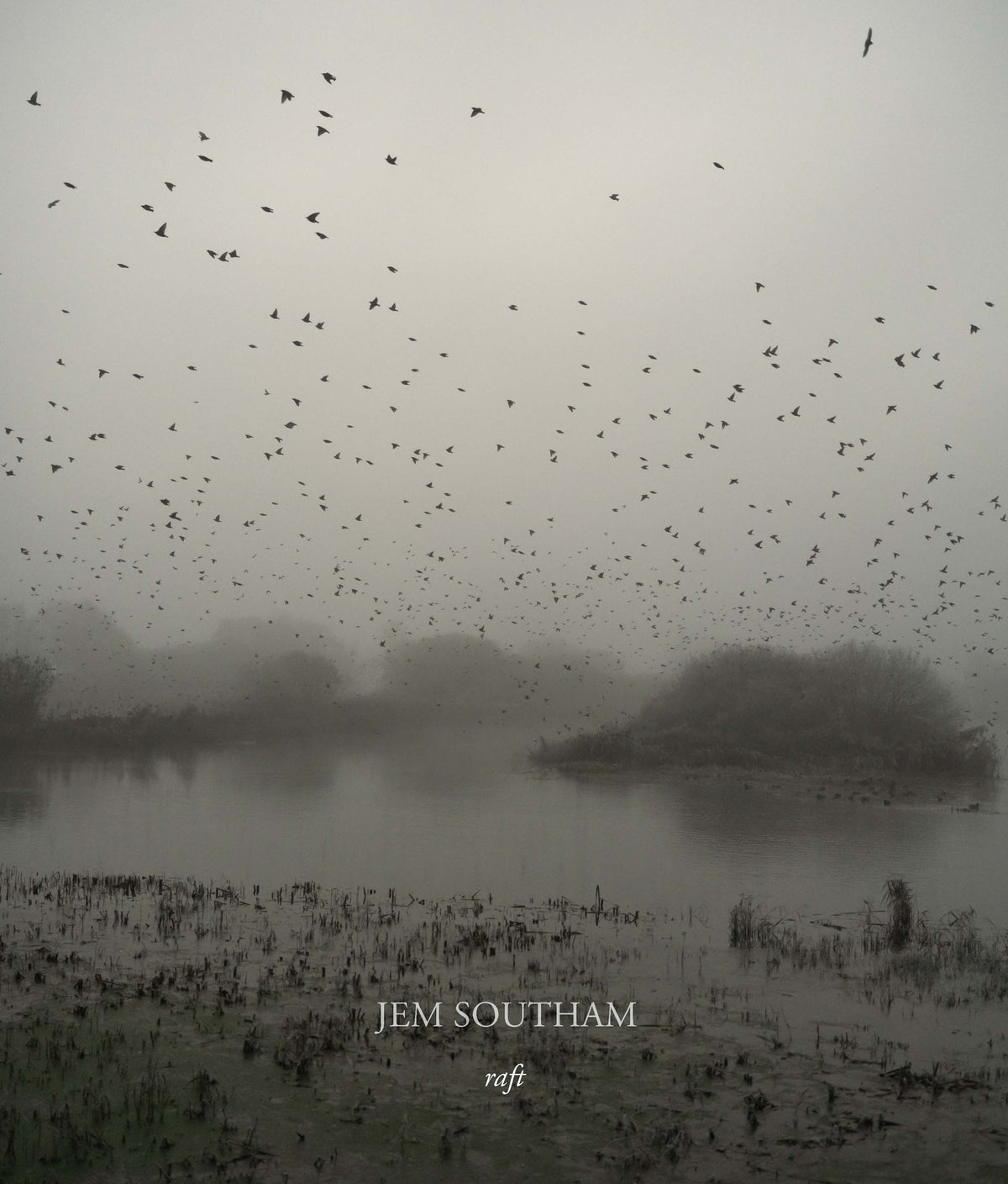 On Starlings