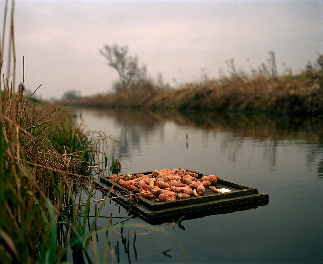 Building the Raft