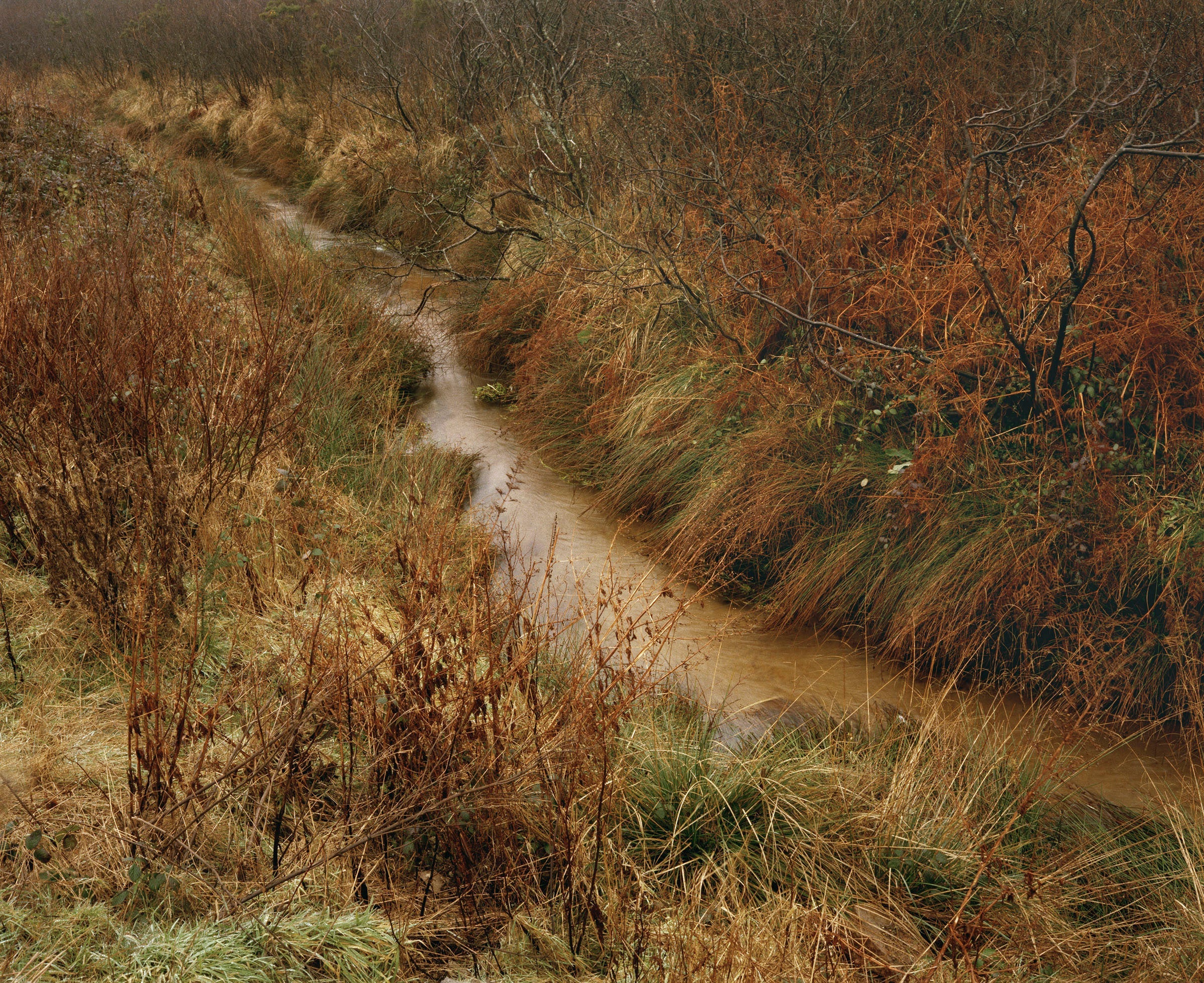 Red River