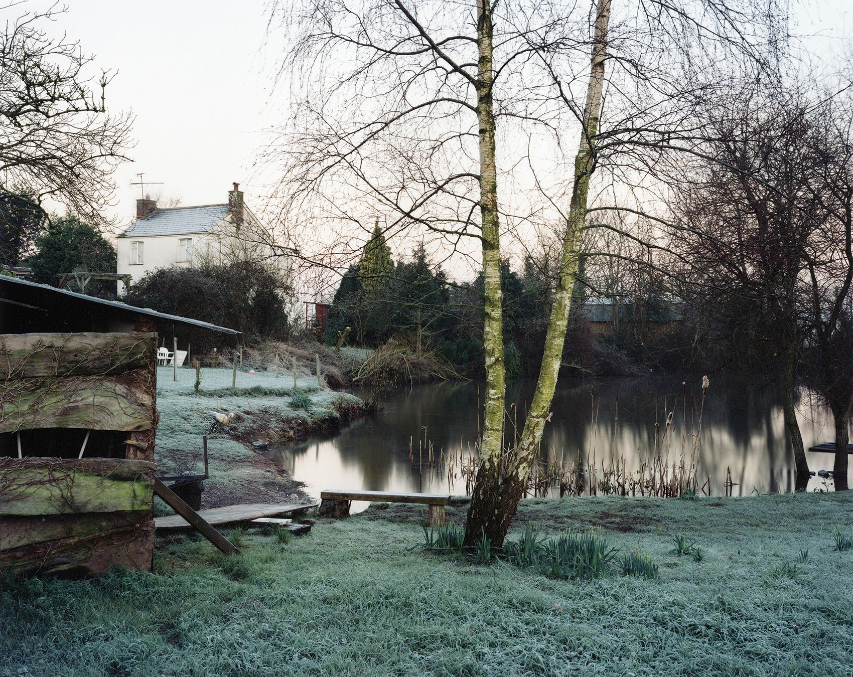 The Pond at Upton Pyne