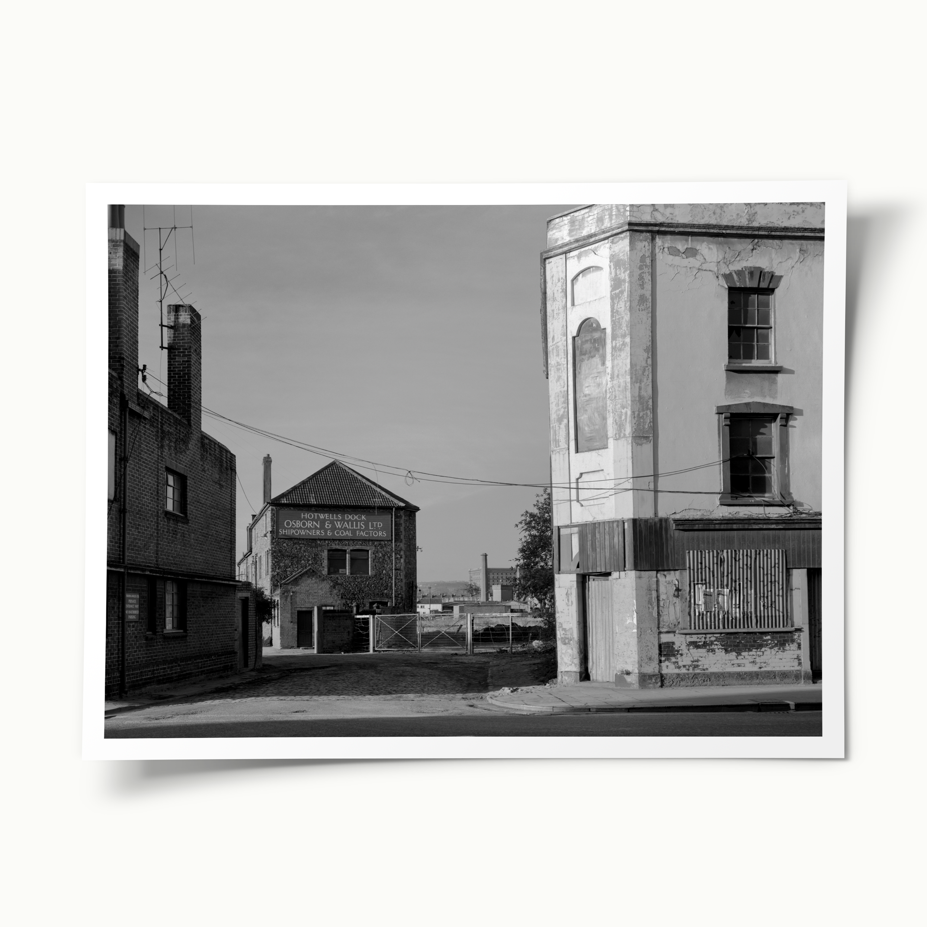 Broad Plain 1980