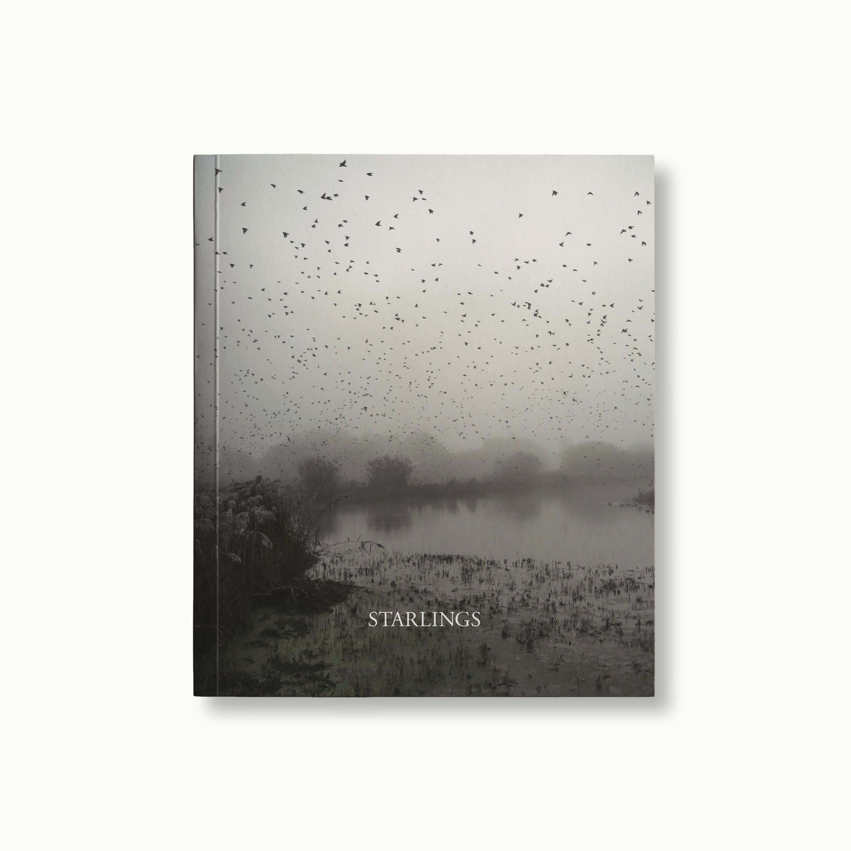 Starlings